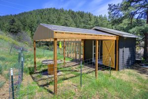 shaded animal sanctuary