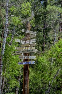 directional sign post