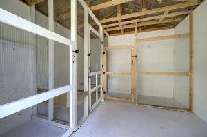 interior areas of hen house