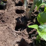 hole maker for planting