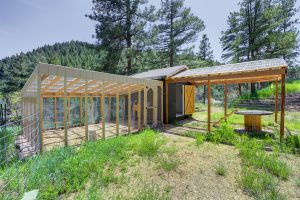 livestock area and chicken coop