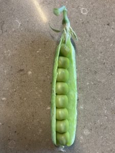 pod of peas