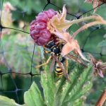 7699071E-CA5F-49E2-B47D-17B4829464D0_1_102_o