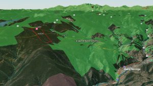 Aerial Perspective Map with forest boundaries