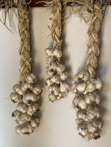 braids of garlic