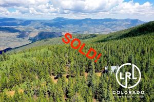 Hidden Wilderness Sold