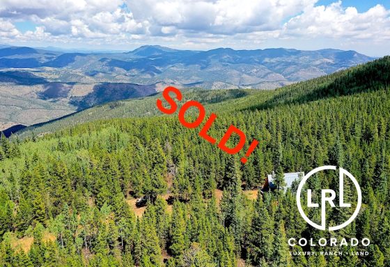 Hidden Wilderness Sold