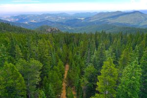 view over beaver brook