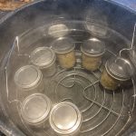 IMG_0798.jars of tomatillo salsa in canner