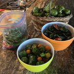 remaining peppers on bar jpeg