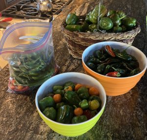 different containers of fresh peppers