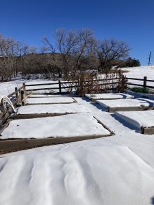 snow on garden boxes