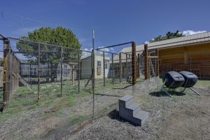 chicken coop with fencing