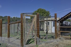 fencing around chicken coop
