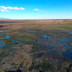 Flood-Sub Irrigation