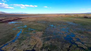 aerial view of wetlands