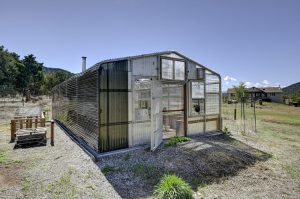 outside of greenhouse