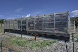 outside of greenhouse