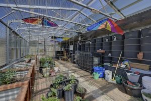 inside of greenhouse