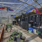Greenhouse Int