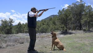 view of hunter with gun/dog