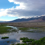 Wet Pasture & Mountains