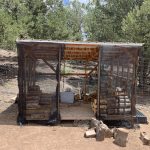 Wood Shed