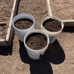 buckets of compost