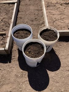 3 buckets of fresh compost