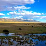 Overview shot high res