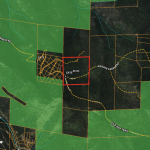 Screen Shot 2023-06-29 at 11.20.43 AM