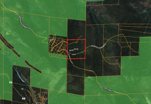 Hidden Wilderness 40 Acres