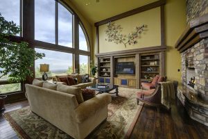 living room television