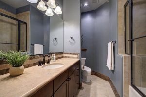 right guest suite bathroom