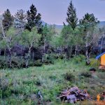 20230702_211648~2 copy