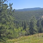 20230916_140629 copy