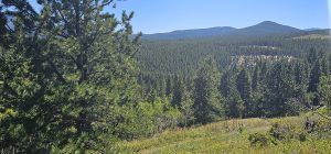 view looking southeast