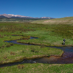 Screen Shot 2024-07-03 at 5.18.19 PM