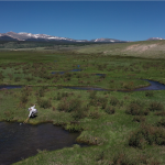 Screen Shot 2024-07-03 at 5.26.25 PM