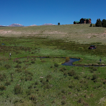 Screen Shot 2024-07-03 at 5.31.51 PM