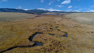 fourmile creek in summer