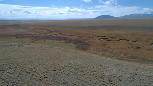 summertime view across creek