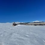 Winter Corral