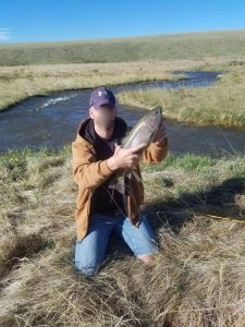 rainbow trout caught in creek
