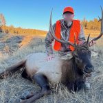 small bull off pony park