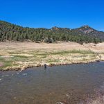 042-12-Looking SW onto property