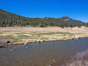 fisherman wading in the river