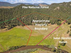 neighboring property boundary lines