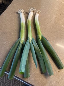 green onions