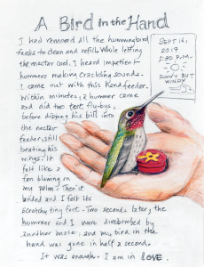 Excerpt from book by Amy Tan - Backyard Bird Chronicles